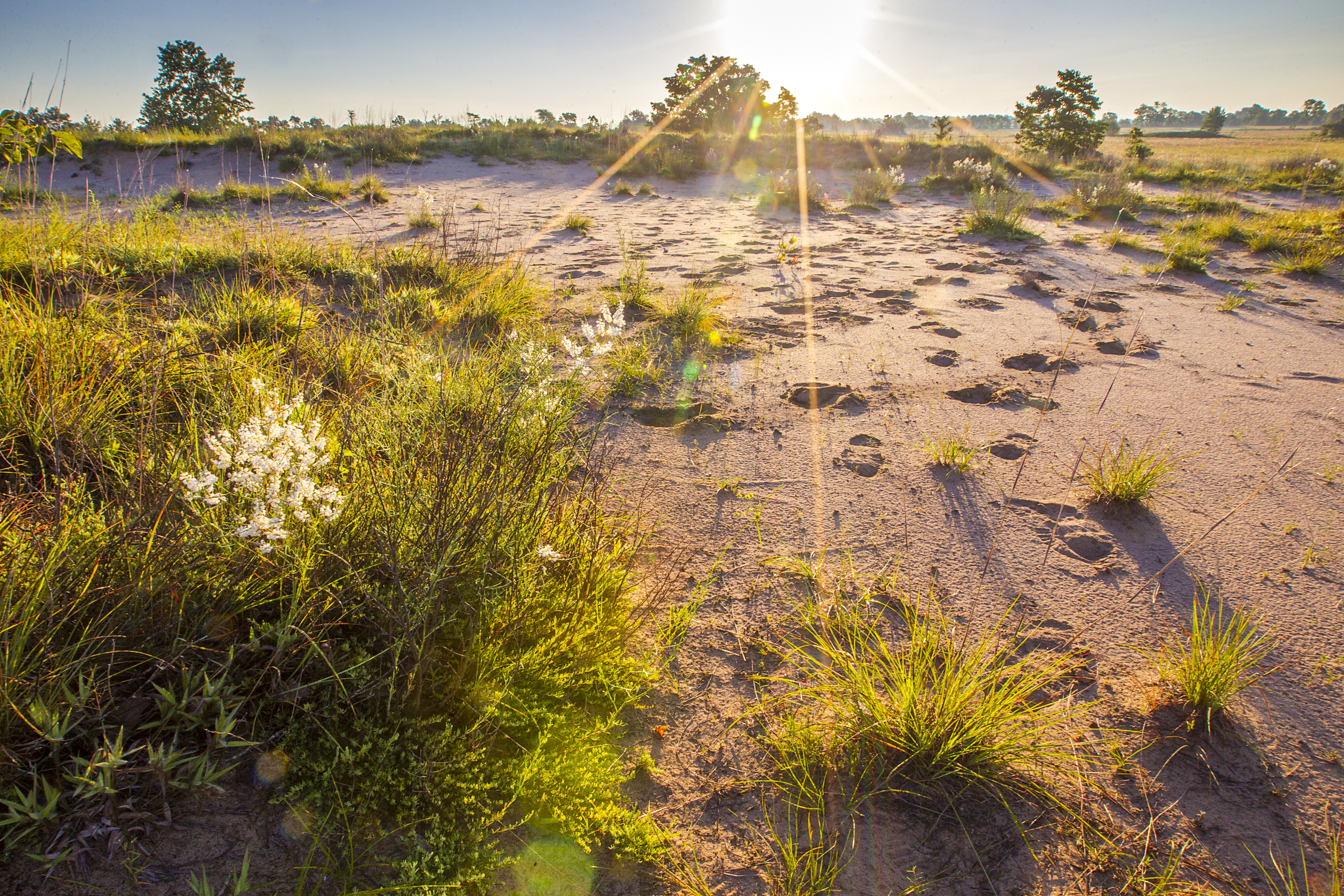Sand Prairie Conservation Area
