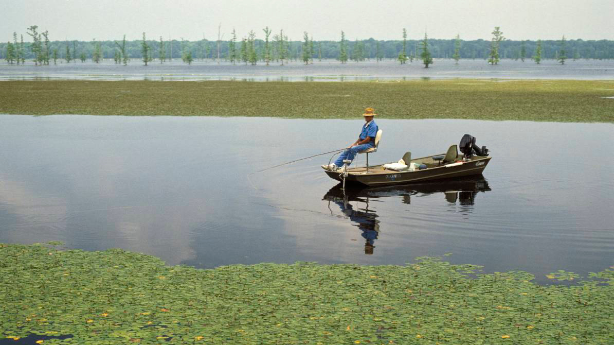 Person fishing from a boat in a wetland area