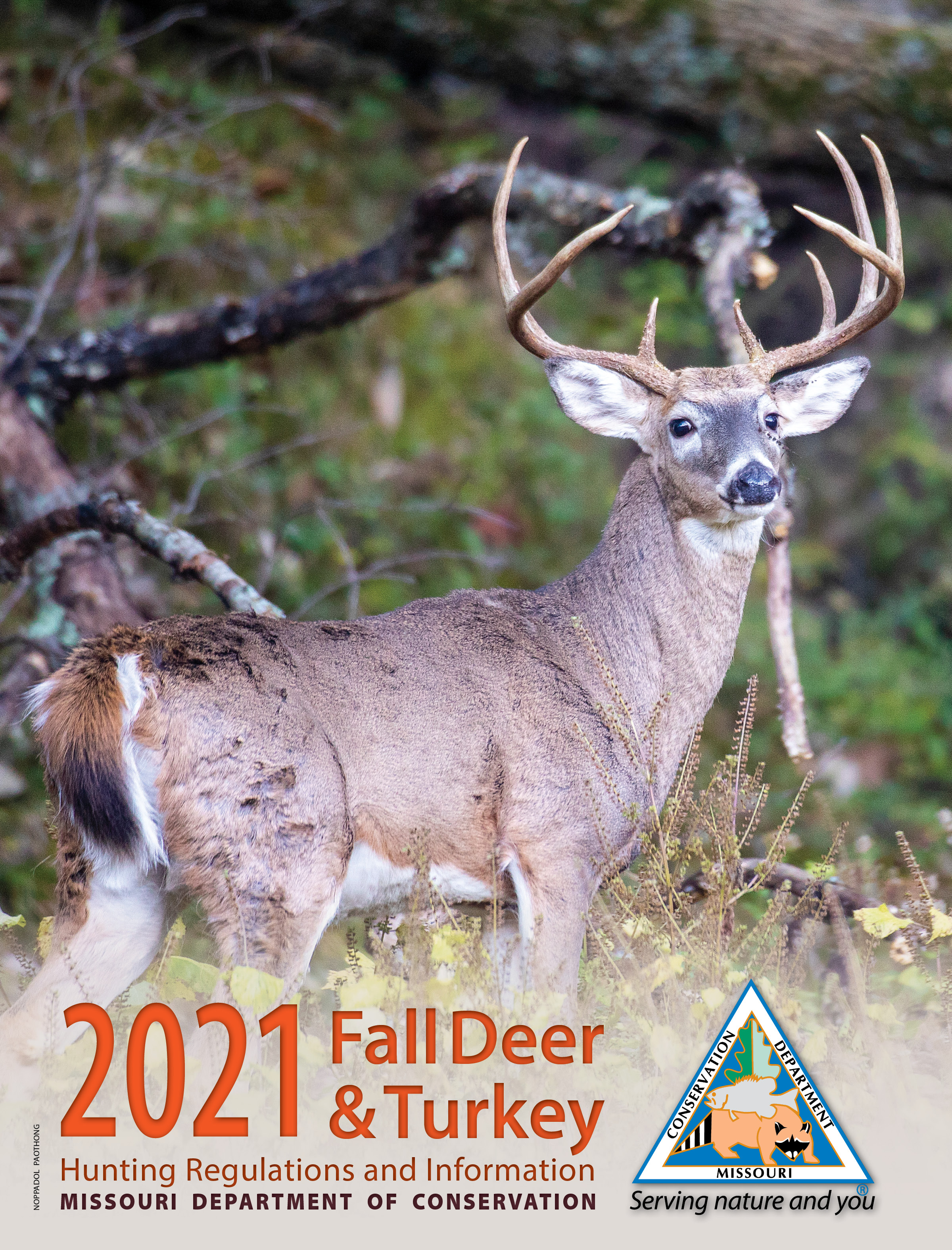 deer booklet