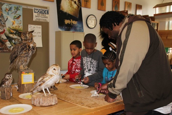Family looks at MDC owl display