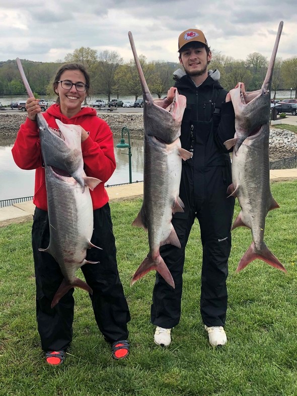 Two snaggers hold paddlefish