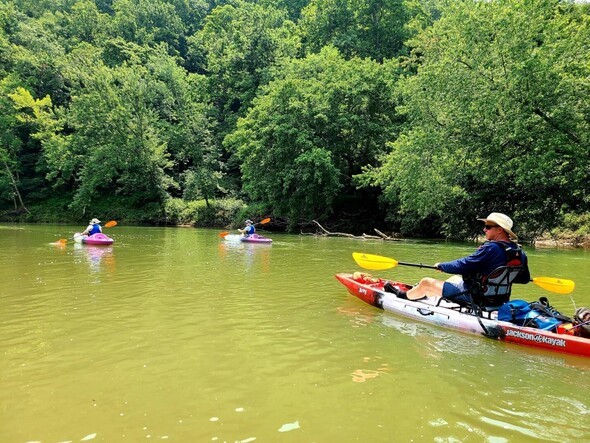 Three people kayak on a river 