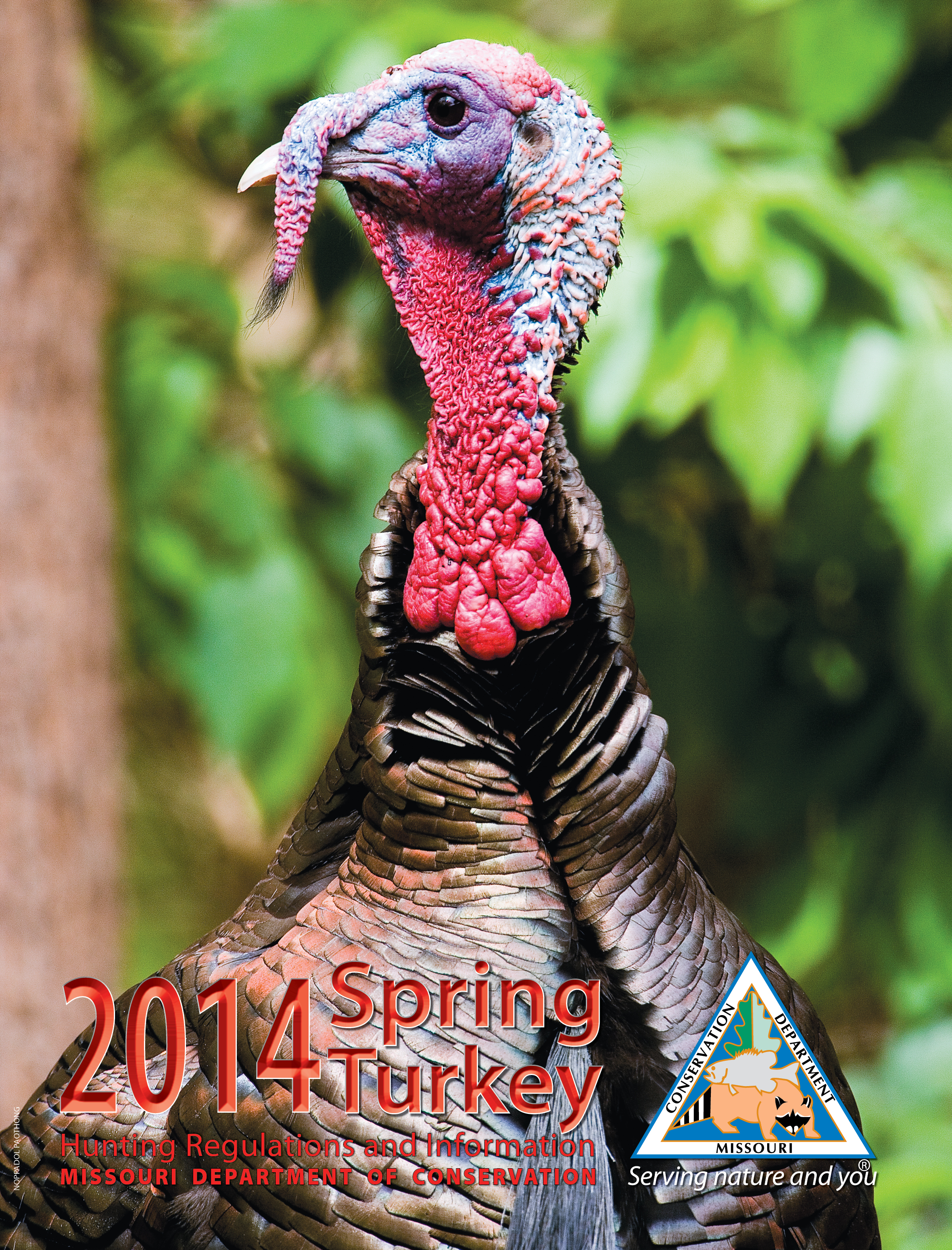 2014 Spring Turkey Hunting Booklet