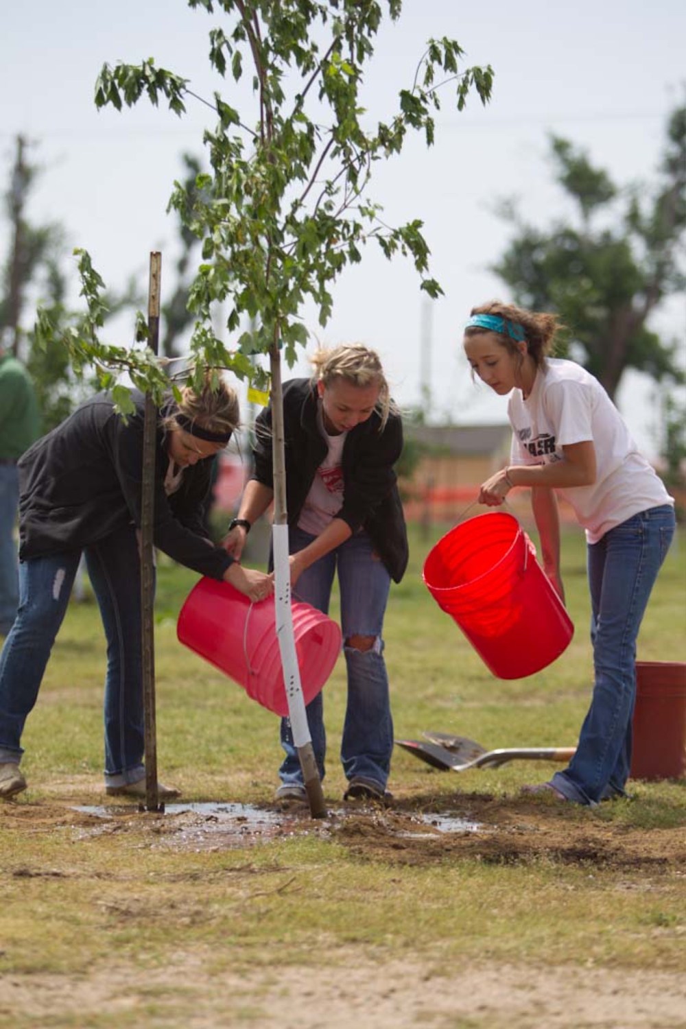 Three young women with red 5-gallon buckets water a tree they just planted in Joplin, MO
