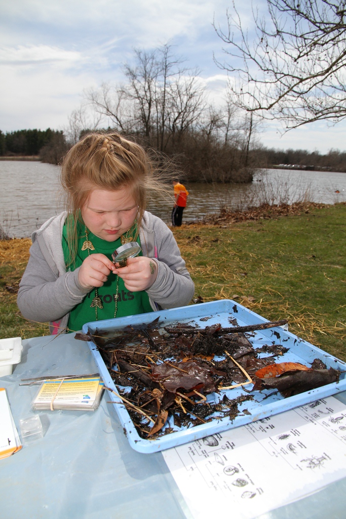 Wetlands for Kids Days Hands-On Activities
