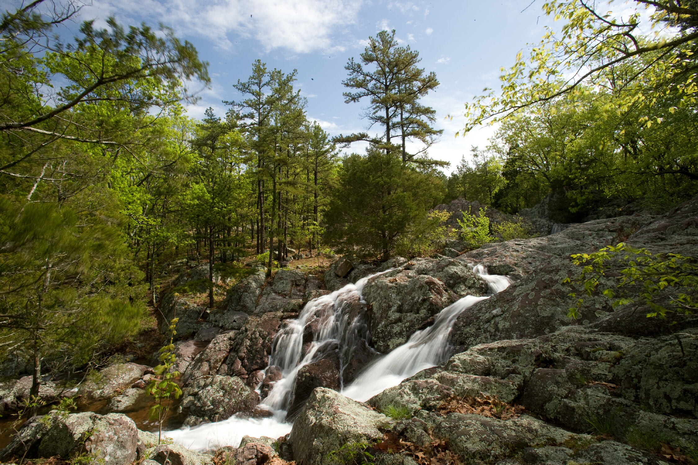 image of forest land at Mina Sauk Falls, St. Francois Mountains Natural Area