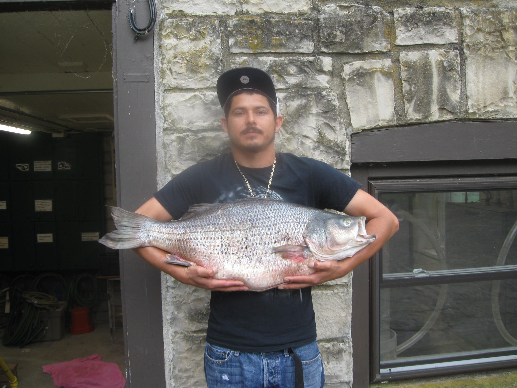 Cesar Rodriguez with his prize striped hybrid bass.