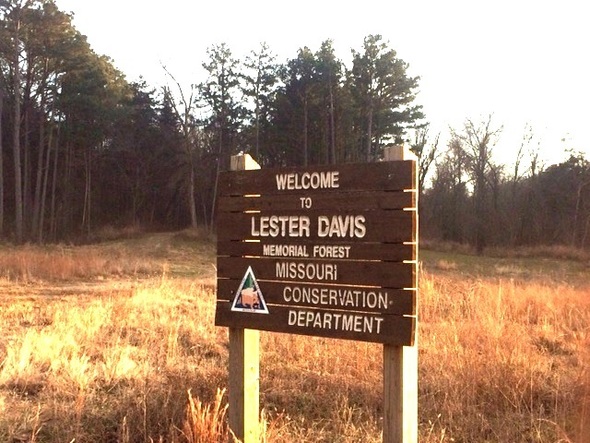 Lester R. Davis Memorial Forest 