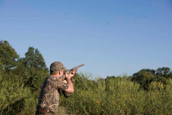 Dove Hunting at Talbot CA