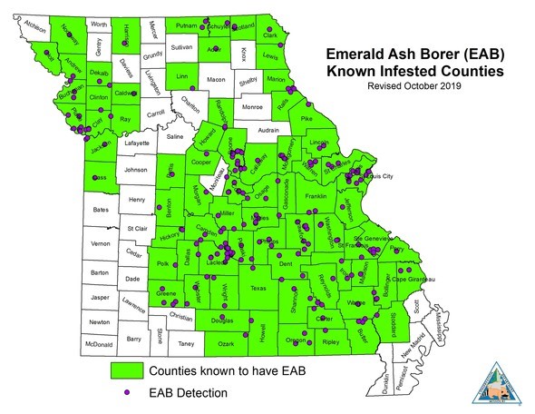 A map depicting where Emerald Ash Borer has been detected in Missouri.