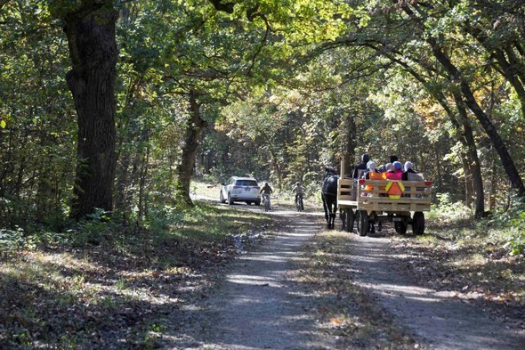 A horse-drawn trailer takes a group of visitors on a tour of Poosey Conservation Area in the fall.