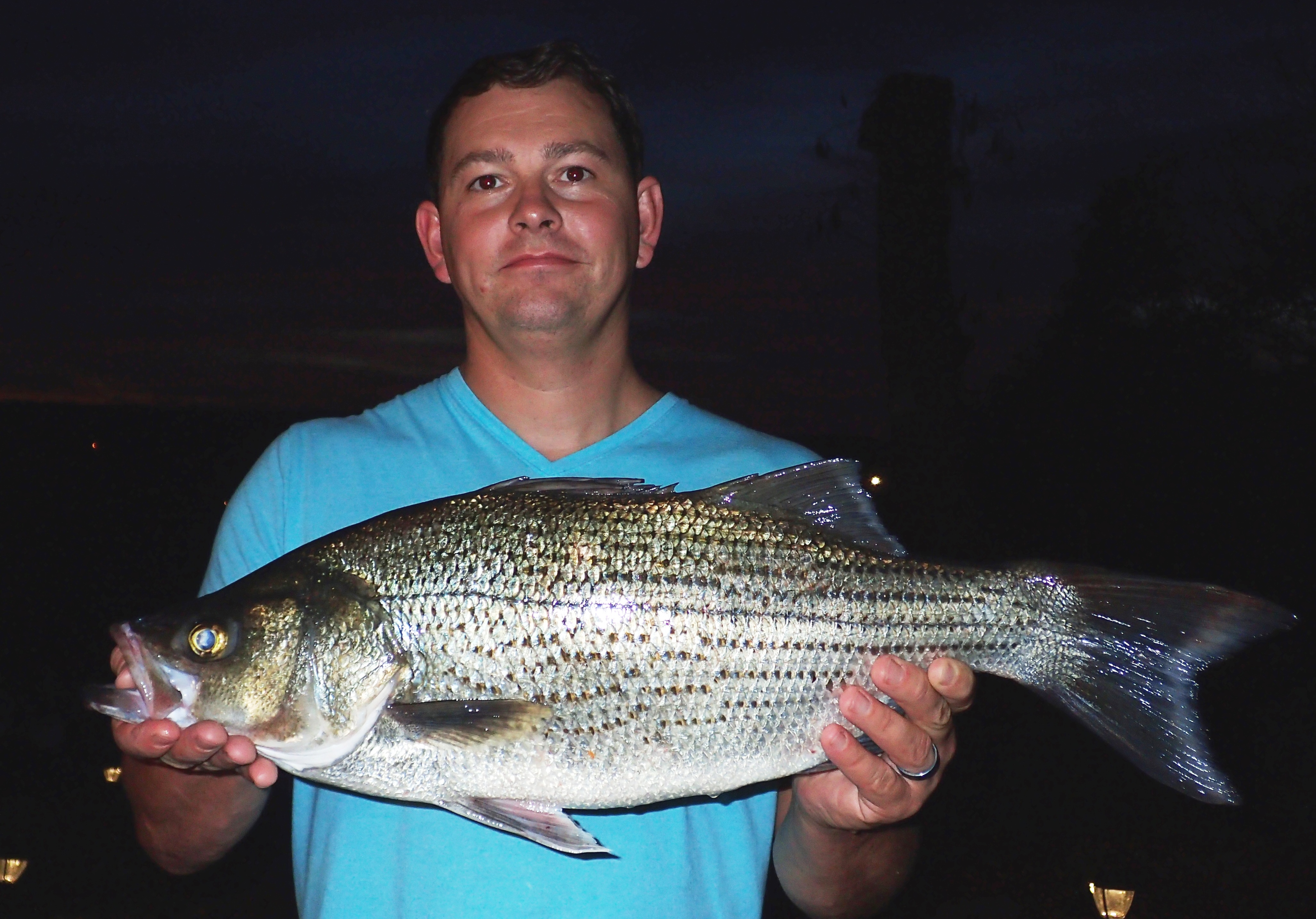 Mark McArtor with his state record hybrid striped bass.