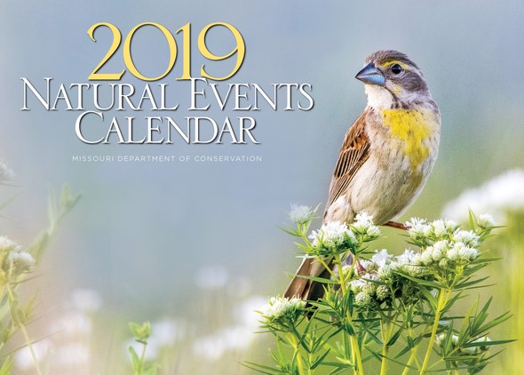 2019 Natural Events Calendar cover