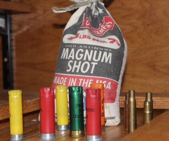 ammunition -- shotgun shells and bullets