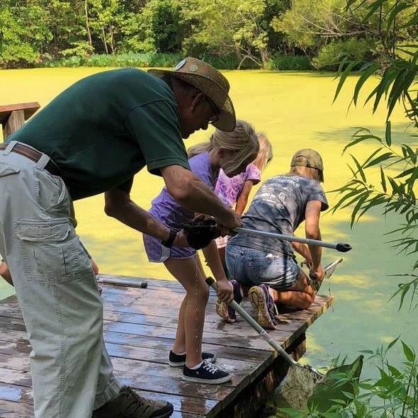 MDC staff assist children with finding aquatic creatures at Rockwoods Reservation.