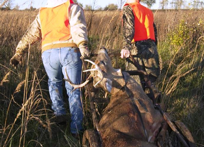 Two hunters dragging out there harvested buck.