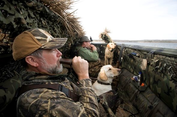Two hunters with their bird dogs in a waterfowl blind.
