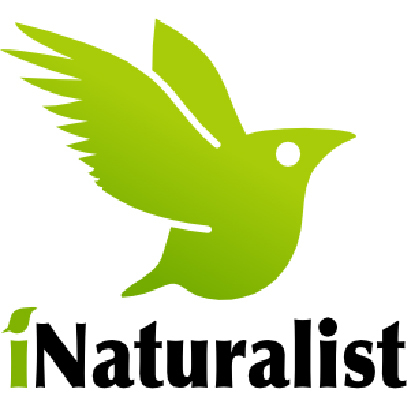 Logo for iNaturalist App.