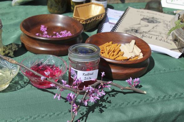 a variety of products made from wild edibles
