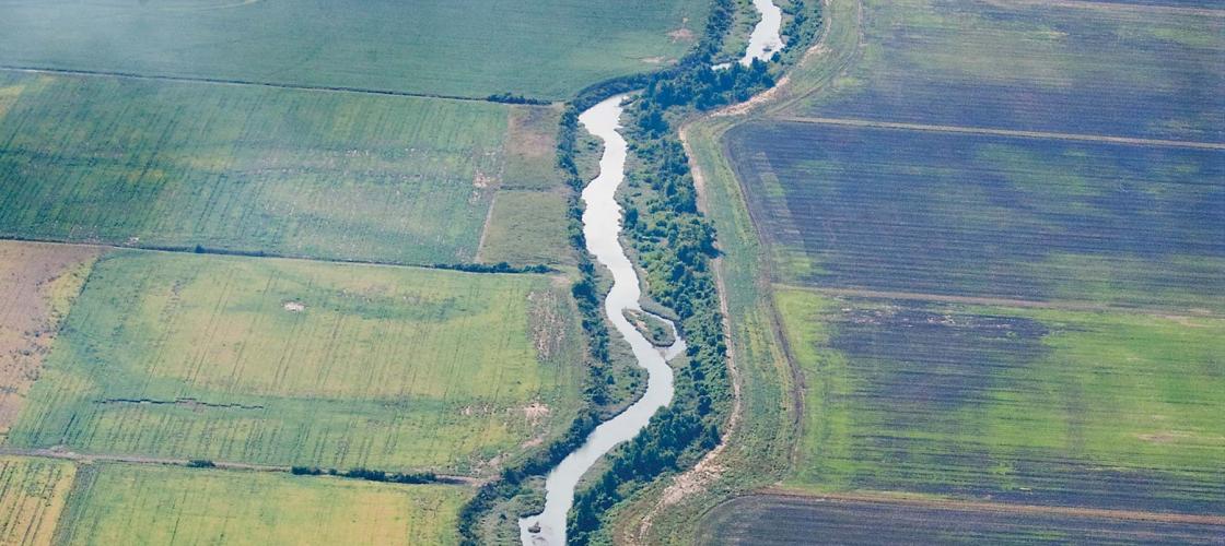 aerial view of a stream