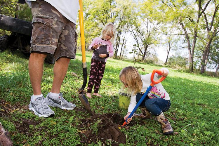 Children plant a tree.