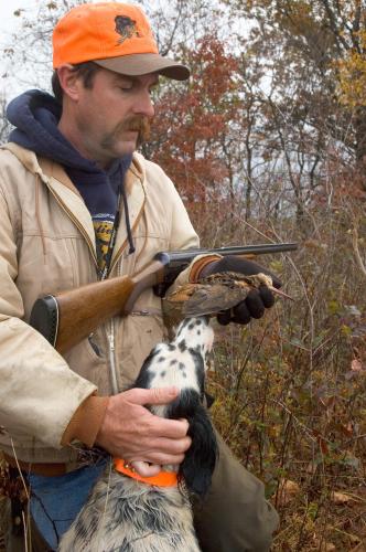 This photo shows a dog delivering a woodcock to a hunter in an orange cap.