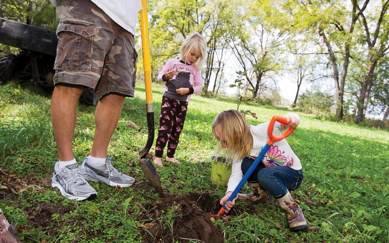 family planting a sapling in the yard