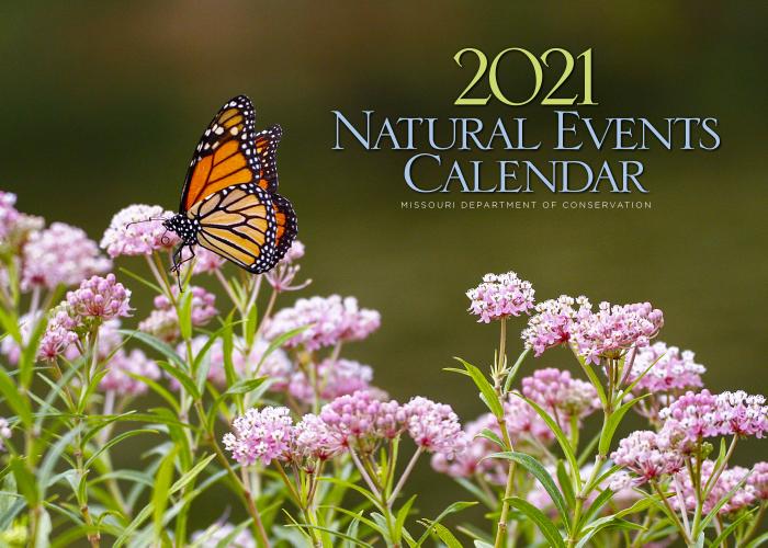 2021 Natural Events Calendar_Cover
