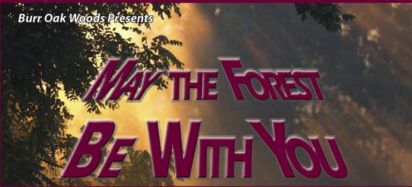 May the Forest Be With You