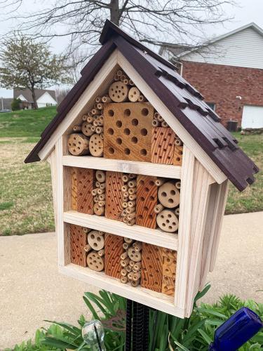 A bee house