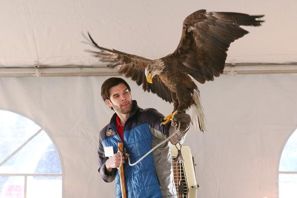 A man holding a live eagle for people to see.