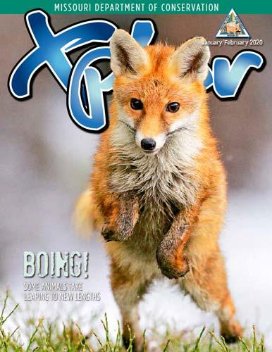 The Jan/Feb 2020 issue of Xplor features a young red fox.