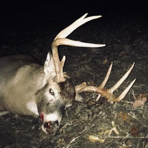 8 point buck harvested during firearms deer season