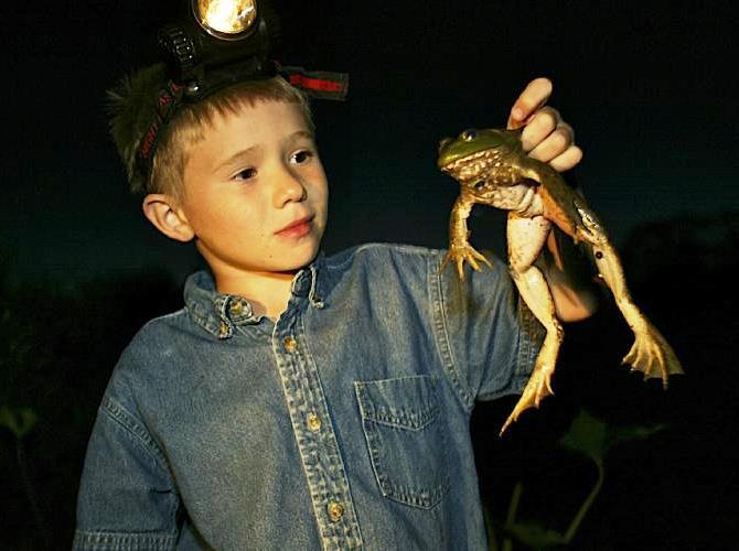 boy holding a caught bullfrog