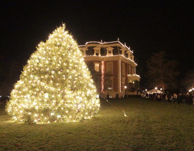 governor's mansion Christmas tree
