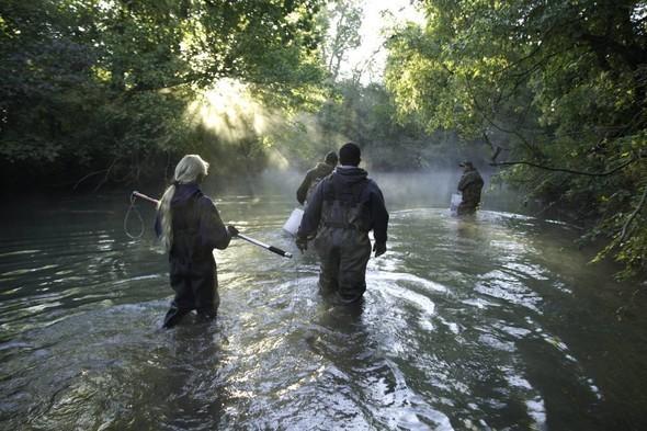 trappers in creek