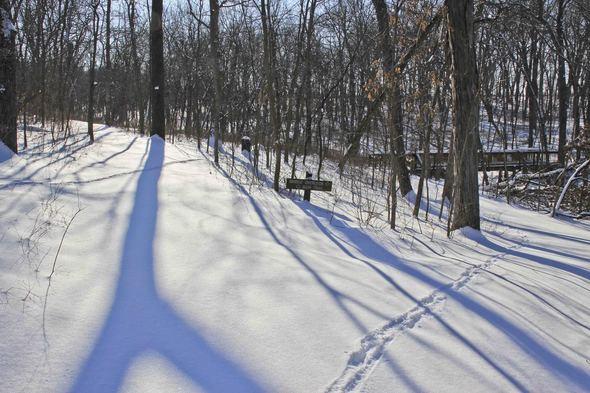 Snow-covered path in the woods at Burr Oak Woods