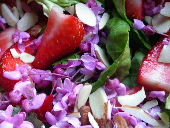 Spring salad with redbud blossoms, strawberries, spinach, and sliced almonds