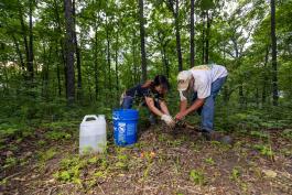 Missouri Conservation Corps Eradicating Invasive Plants