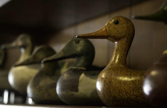 Wooden decoy ducks