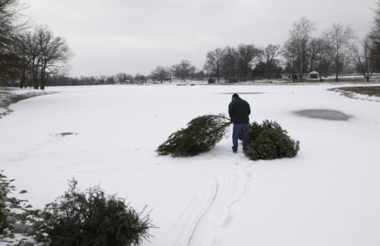 Christmas trees recycled into fish and wildlife habitat