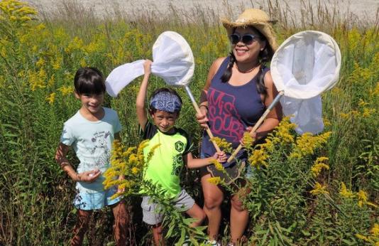 Family catching butterflies in wildflower field