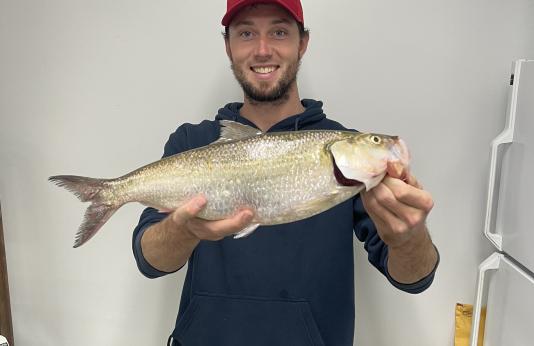 Anthony Rozniak holds state record skipjack herring