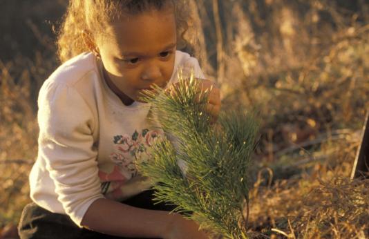 Arbor Day girl planting tree