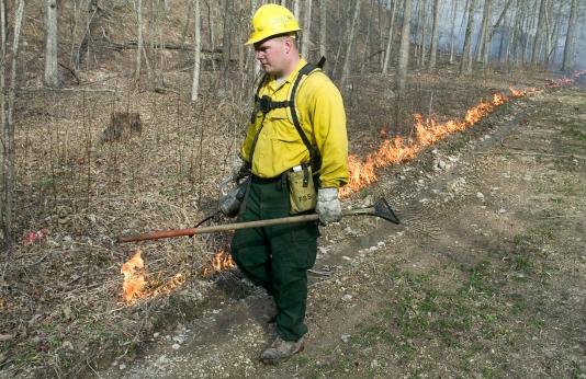 A forester carries a rake as he monitors a dripline fire. 