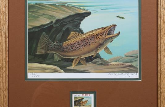 MCHF Trout Stamp Print and Stamp