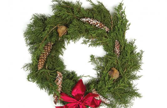 Wildlife friendly holiday wreath made from cedar branches.