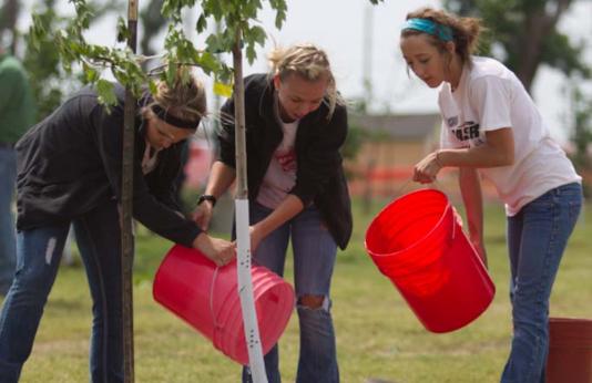 Three young women with red 5-gallon buckets water a tree they just planted in Joplin, MO