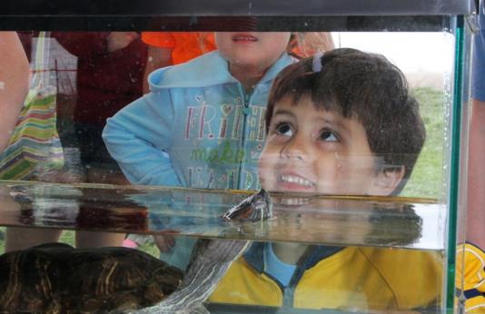 Wetlands for Kids Day Aquarium