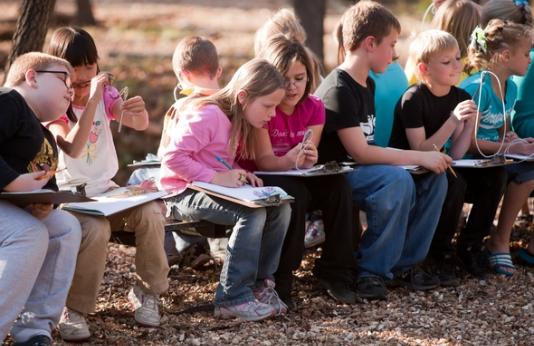 Discover Nature Students Learning Outdoors